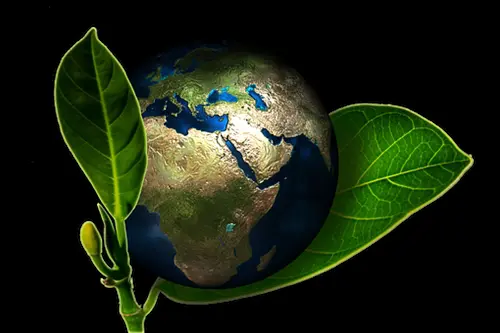 Eco-Friendly Hand Wash Ashburn Virginia